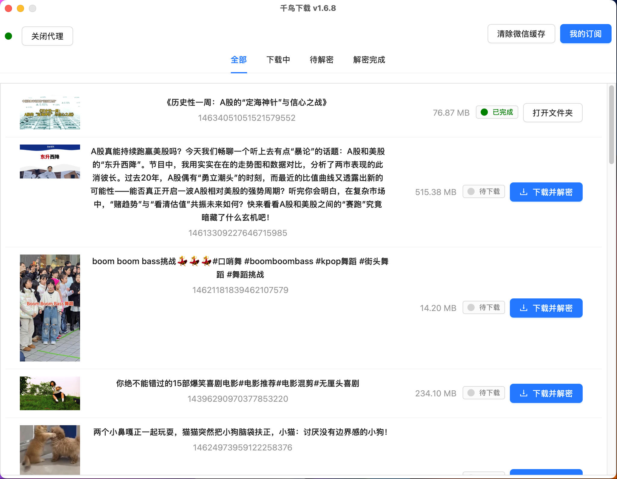 千鸟下载软件界面